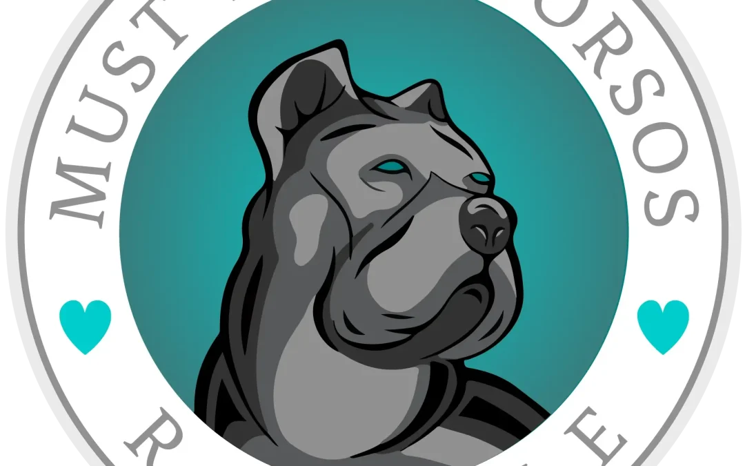 Daiquiri – 3 Months Old, Female