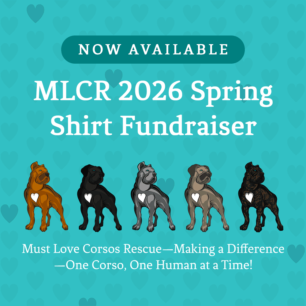 MLCR_Shirt-Graphic_File-export-save for web Rescue, Shirt Fundraiser