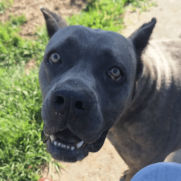 Yessica – 5 Year Old, Female