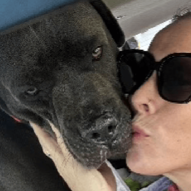 Wes – 1 Year Old, Male
